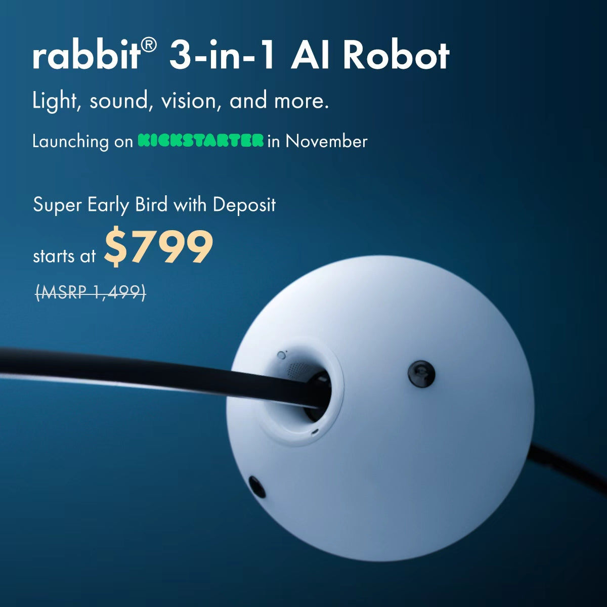 rabbit